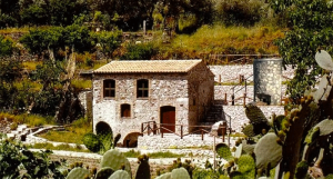 La Calabria si occupa di valorizzare i grani antichi e i suoi mulini storici