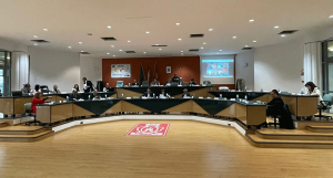 Città unica, Rende dice no alla proposta di legge regionale