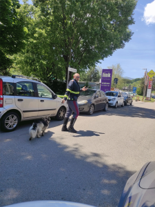 I due cani sono stati trasferiti presso la sede dell'Anas