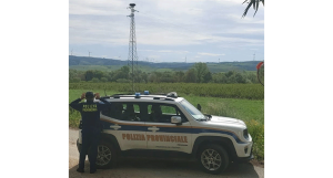 La Polizia Provinciale di Cosenza attua un piano di sorveglianza dei nidi di Cicogna bianca