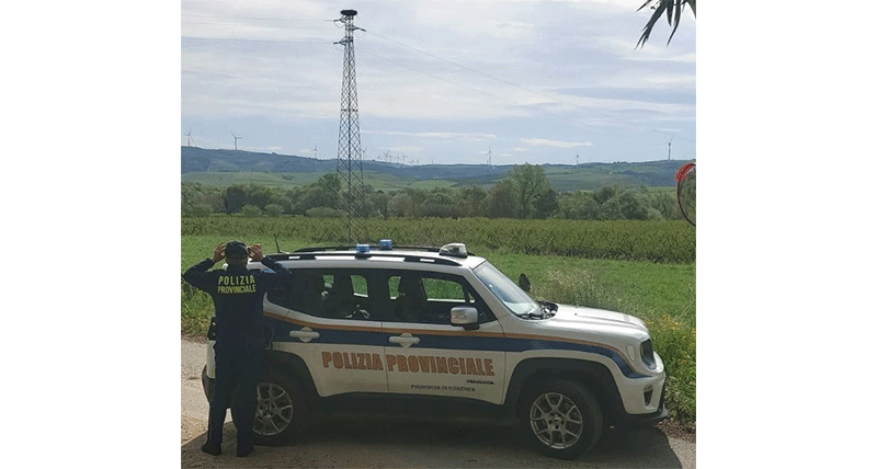 La Polizia Provinciale di Cosenza attua un piano di sorveglianza dei nidi di Cicogna bianca