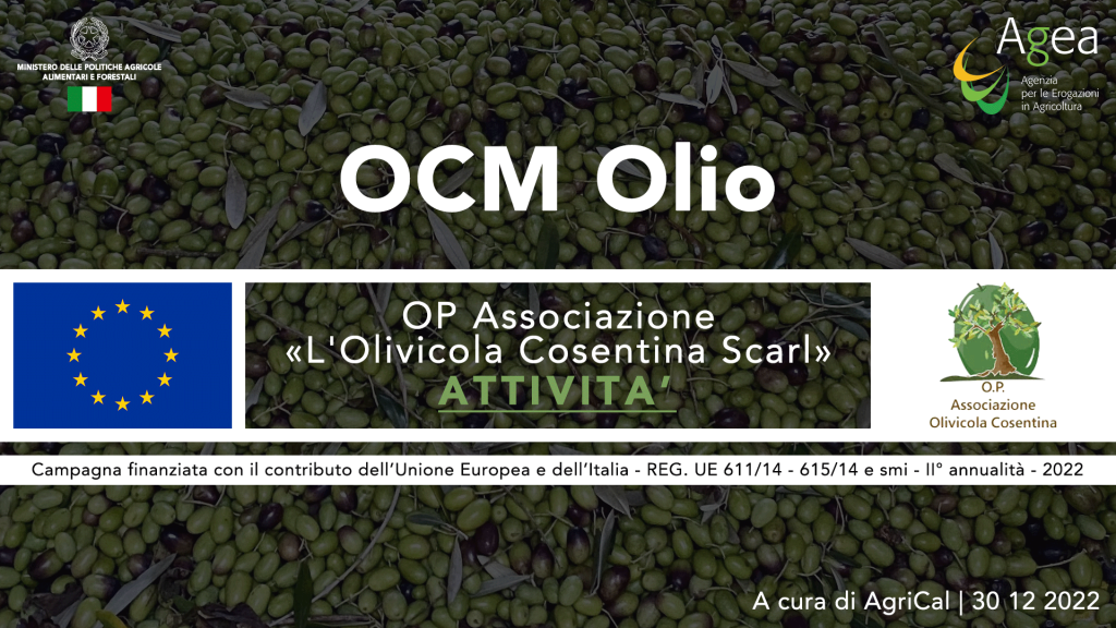 O.P. Associazione l'Olivicola Cosentina: un anno di successi e sfide per la produzione olearia sostenibile