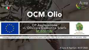 La mission dell'O.P. Associazione l'Olivicola Cosentina: crescita sostenibile e responsabile nell'industria olivicola