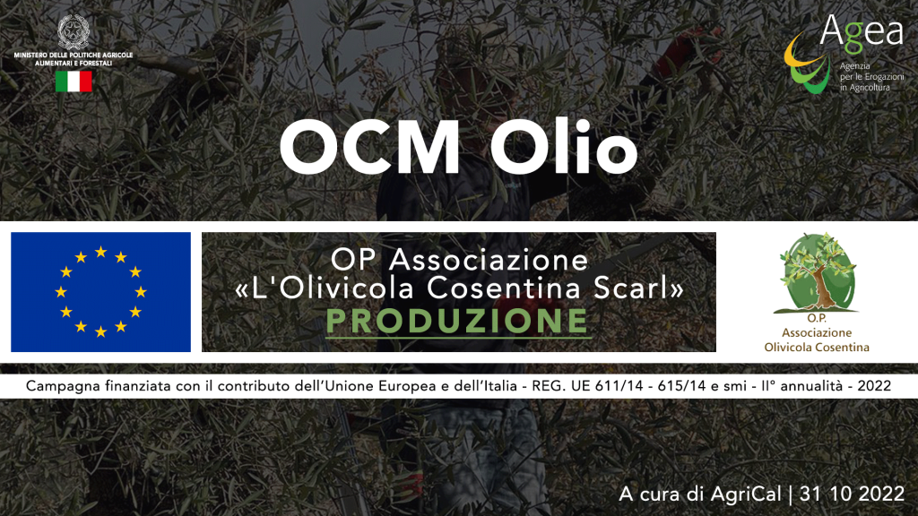 Agrical: sostenere le aziende olivicole verso una produzione integrata e sostenibile