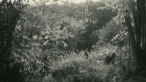 Alétheia - Eleonora Cutini