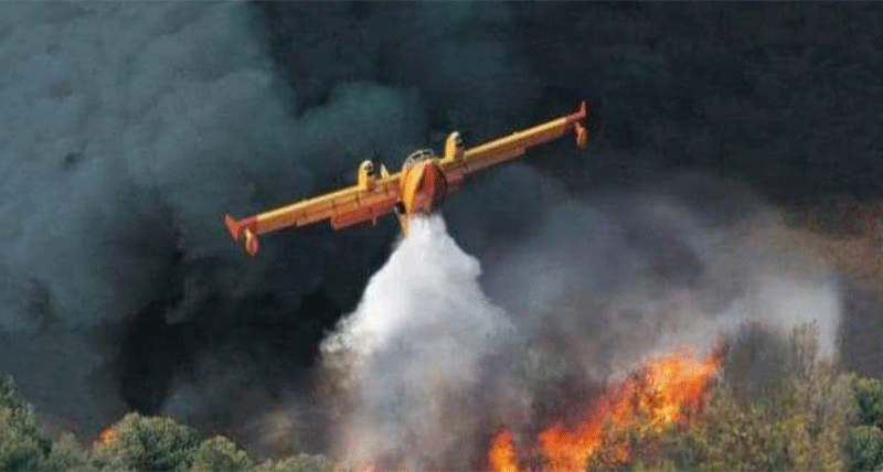 Il business degli incendi in Calabria
