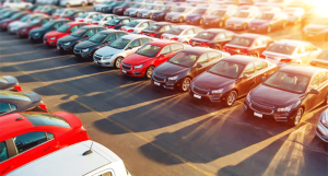 Analisi delle Preferenze Automobilistiche a Cosenza: Focus sulle Immatricolazioni di Agosto 2023