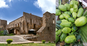 Via del Cedro di Calabria