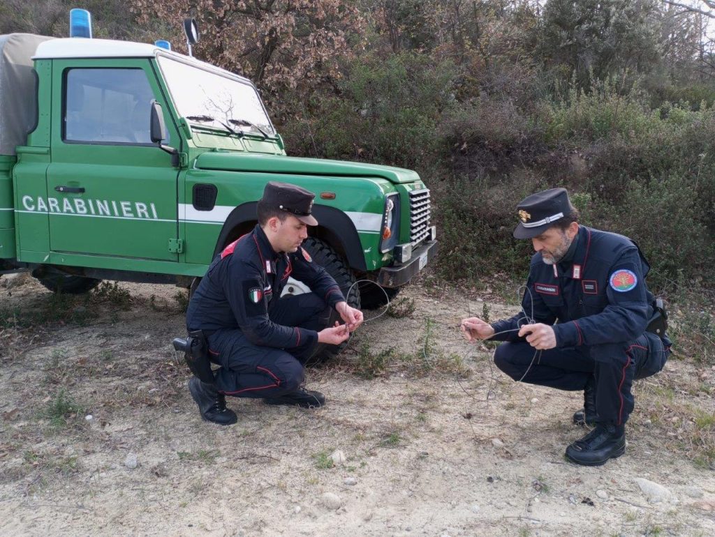 Cotronei antibracconaggio le fototrappole incastrano un uomo nel Parco Nazionale della Sila 1