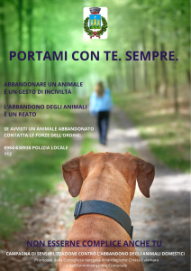 Mendicino, campagna contro l'abbandono degli animali domestici del Comune