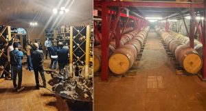 Al via il progetto "Magna Grecia Metodo Classico, le Bollicine del Sud"