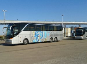 PerroneBus