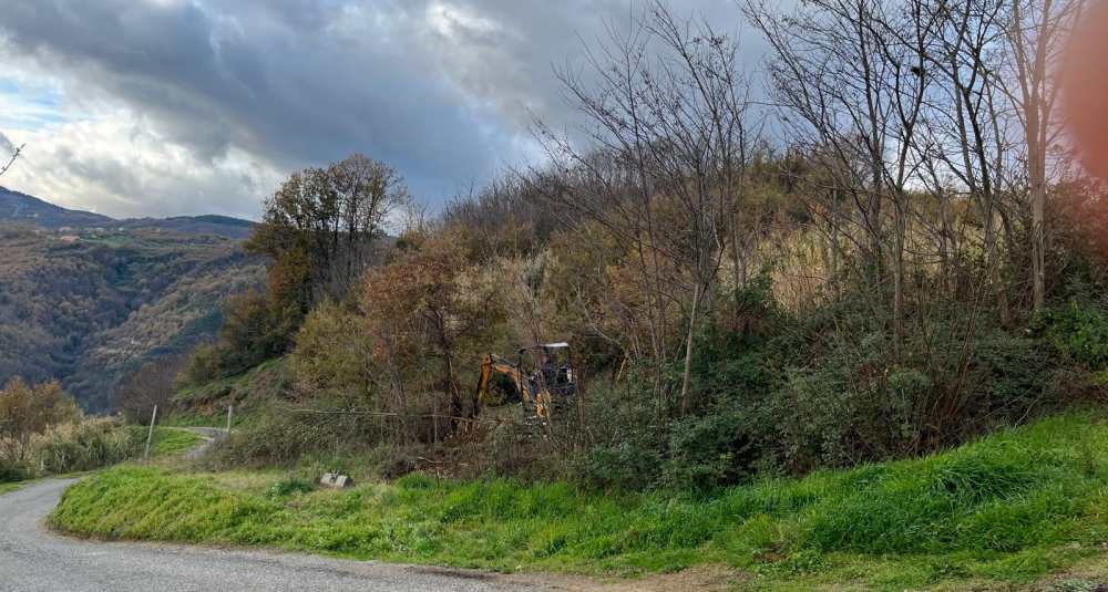 Cosenza, protesta contro il traliccio di 30 metri: «Deturpa l’area vincolata»