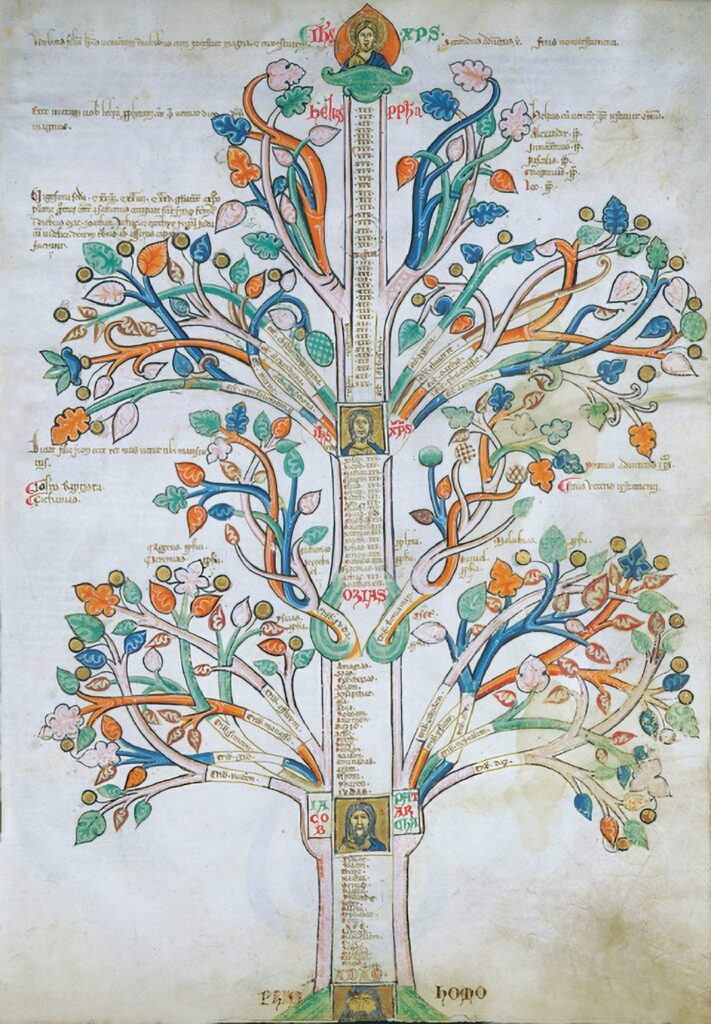 L'albero dei due avventi