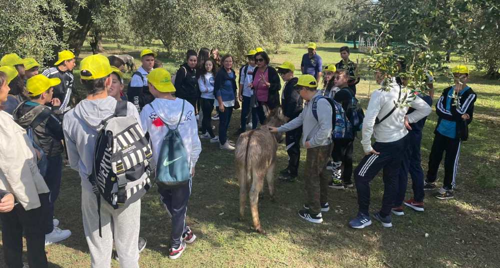 Coldiretti Calabria: l’oleoturismo vola al +37% e rilancia l’economia dei borghi