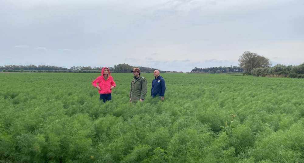 Rai 1, Crotone e Isola Capo Rizzuto protagoniste a “Linea Verde Illumina”