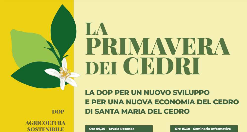 Santa Maria del Cedro, al via “La Primavera dei Cedri” per valorizzare la DOP