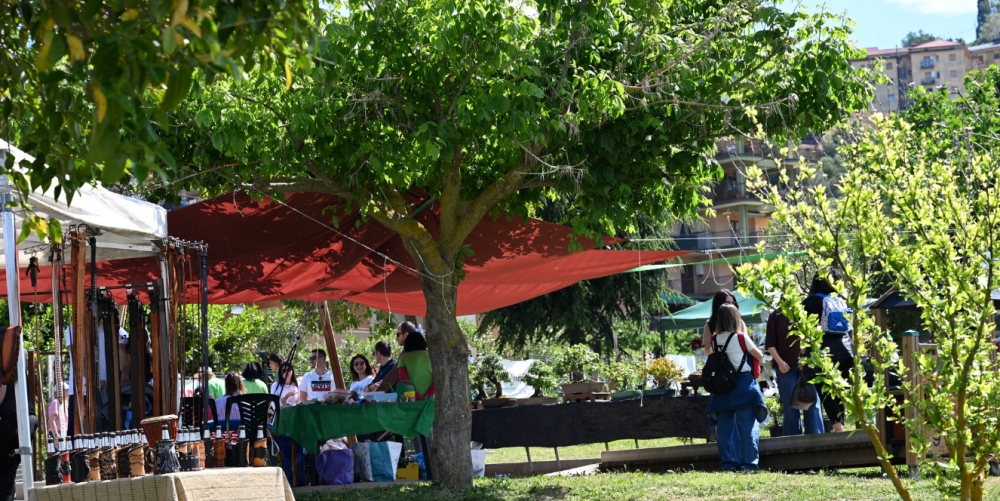 Green Fest Rogliano 2026: in migliaia al parco cittadino per l’evento ecologico del Savuto