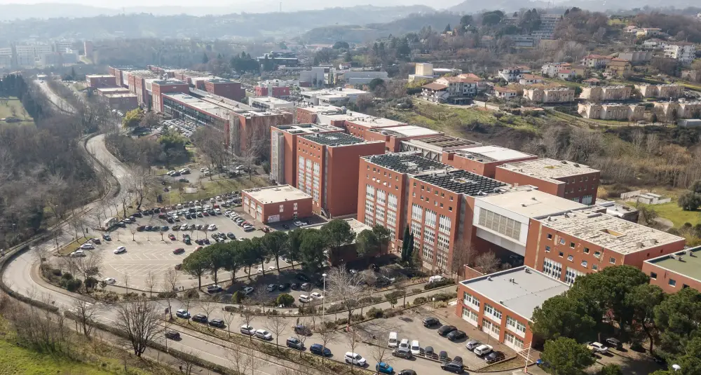 L’Unical conquista il mondo: oltre 6mila richieste e un boom del 25% che premia il campus globale