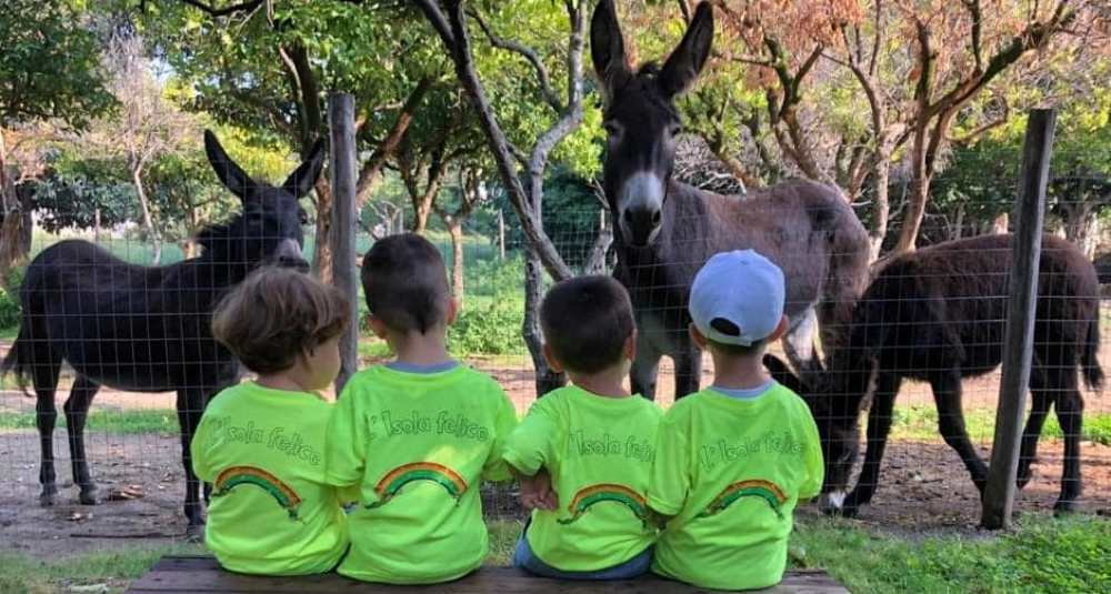 Centri estivi in fattoria: Coldiretti Calabria lancia per domenica l’Open Day per le famiglie