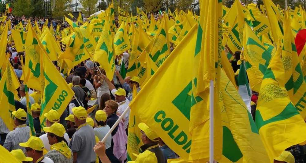 Guerra ai trafficanti di olio, in piazza anche Coldiretti Calabria: domani la protesta a Bari