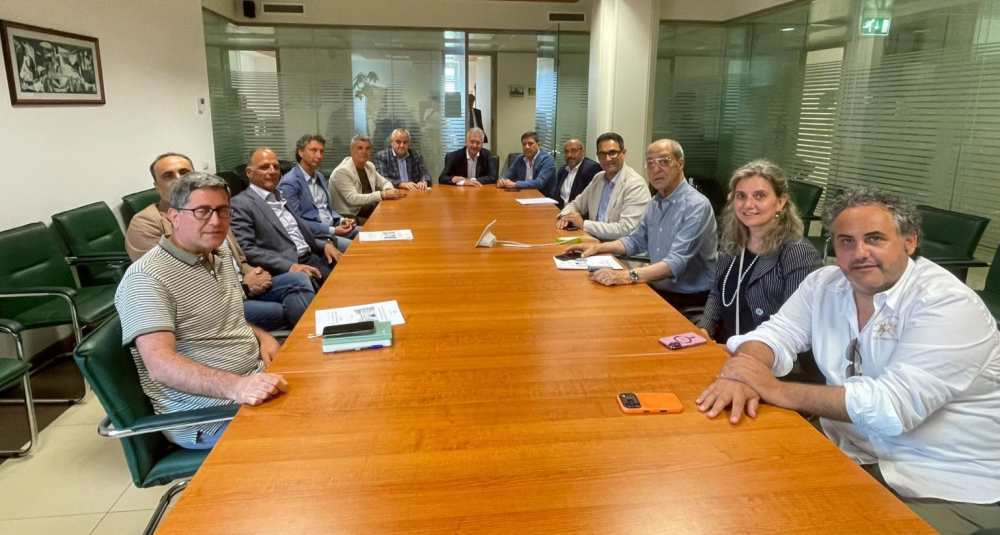 Ambiente, intesa alla Cittadella: la Regione e i Parchi calabresi uniti per salvare i boschi vetusti