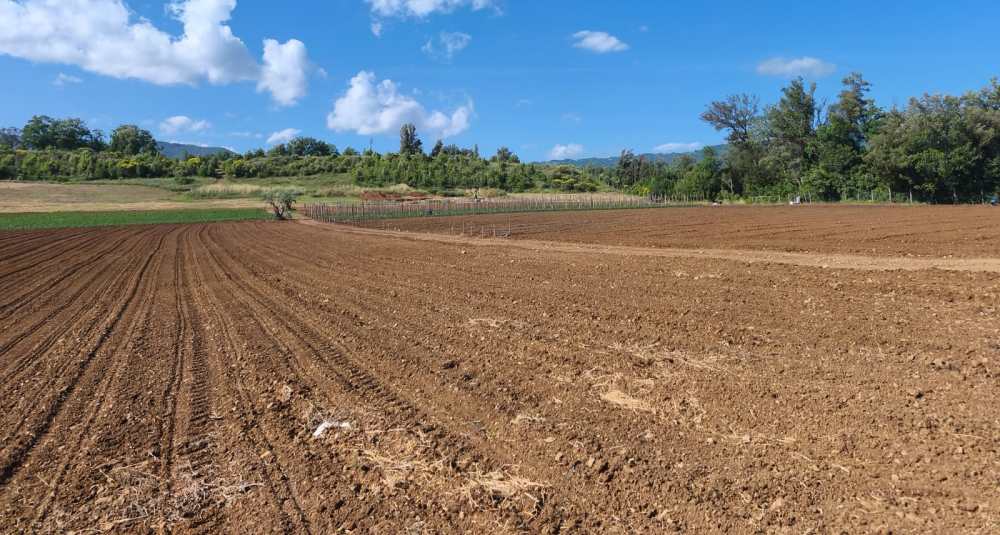 Laino Borgo, al via la settima campagna di scavi a Santa Gada