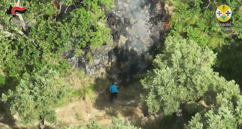 Beccato dal drone della Regione Calabria: i Carabinieri Forestali incastrano un piromane a Cleto