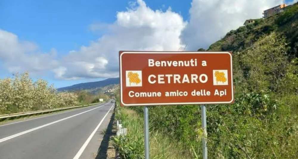 Allarme pesticidi e OGM a Cetraro: domenica un tavolo tecnico all’azienda apistica “Il Lago”