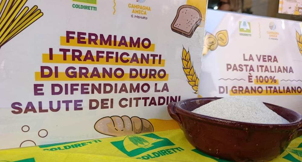 Grano duro, l’allarme di Coldiretti Calabria: “Prezzi crollati e rincari sugli scaffali”