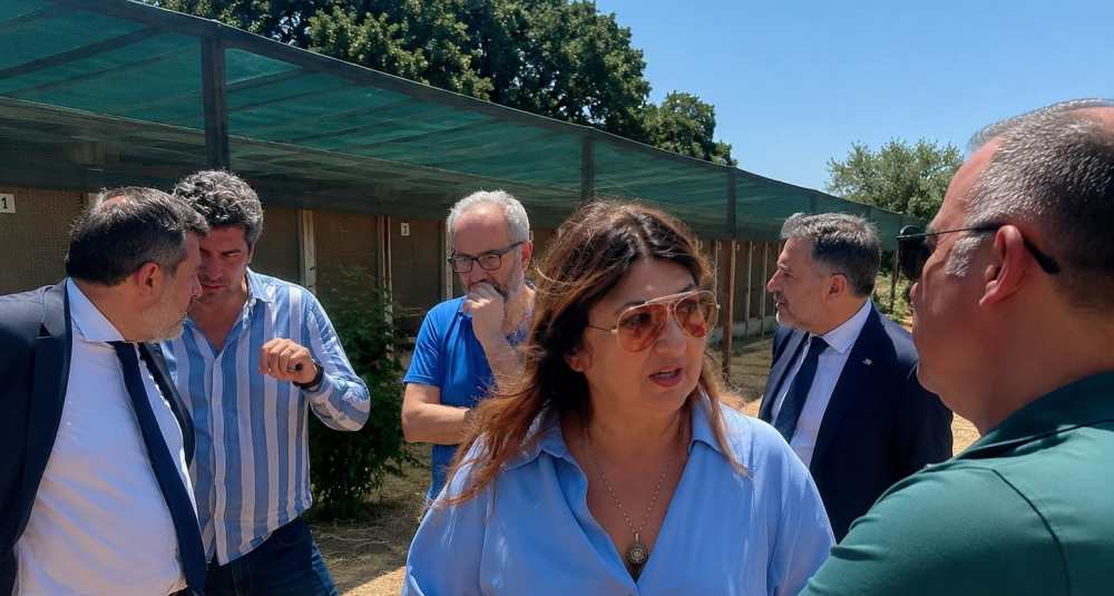 Randagismo, l’assessore Straface avvia il tour dei canili calabresi: primo sopralluogo a Corigliano-Rossano