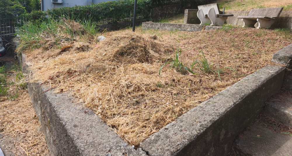 Aldo Figliuzzi: “Da città solare a città delle sterpaglie: così in basso Castrolibero non l’avevo mai vista”