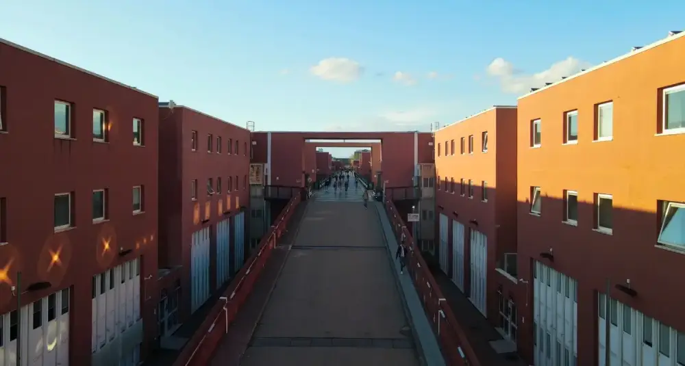 L’Università della Calabria sul tetto d’Italia: il Censis la incorona prima tra i grandi atenei