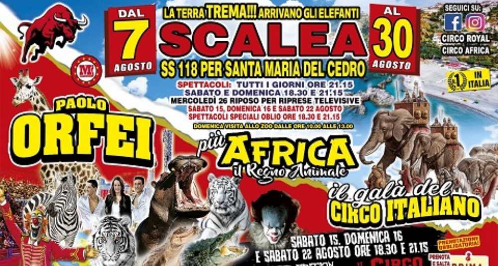 Scalea, dal 7 al 30 agosto arriva il grande Circo Paolo Orfei con lo show “Africa, Il Regno Animale”
