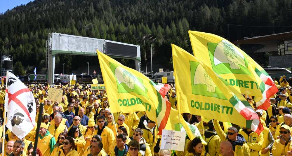 Il ddl ColtivaItalia passa alla Camera: per Coldiretti Calabria è una svolta storica da due miliardi di euro