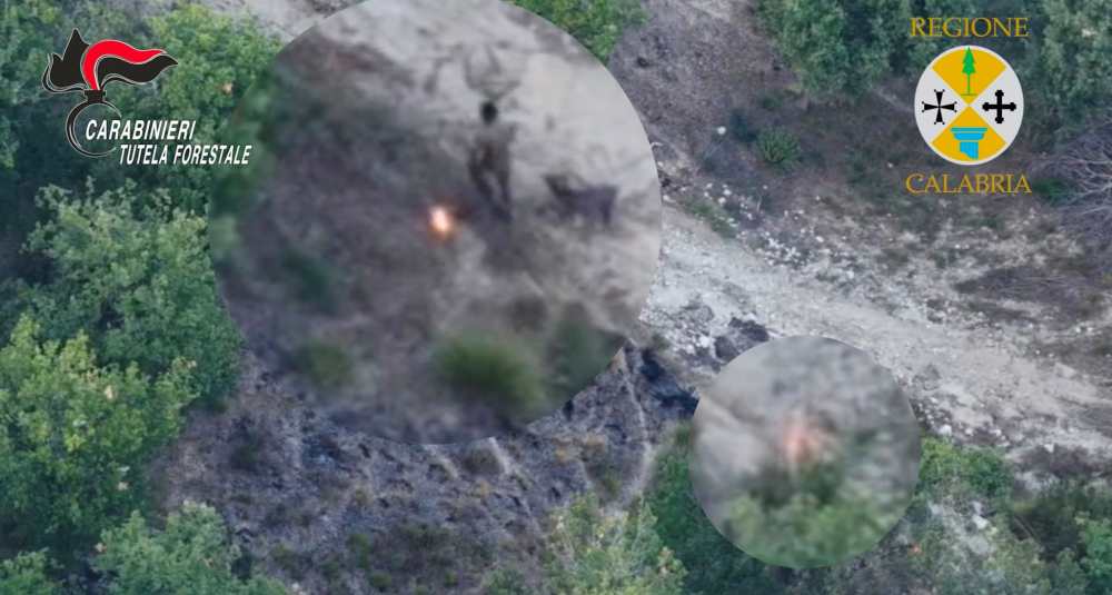 Filandari, appicca il fuoco a un bosco di pini: arrestato allevatore di cinquant’anni