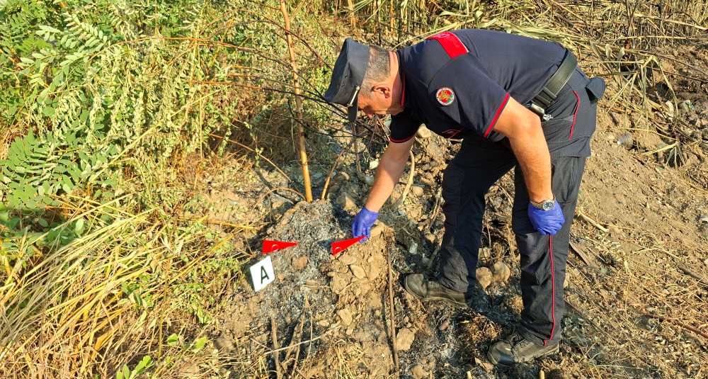Incendio doloso a Rende: uomo denunciato alla Procura di Cosenza dai Carabinieri Forestali