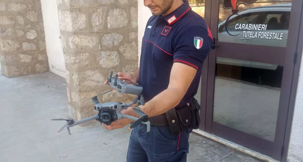 Accensione illecita di fuochi in Aspromonte: stangata dei Carabinieri Forestali, multe per 90.000 euro