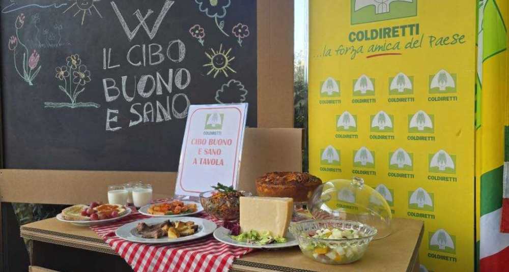 Mense scolastiche, l’allarme di Coldiretti Calabria: “Bruxelles minaccia i nostri cibi a km zero”