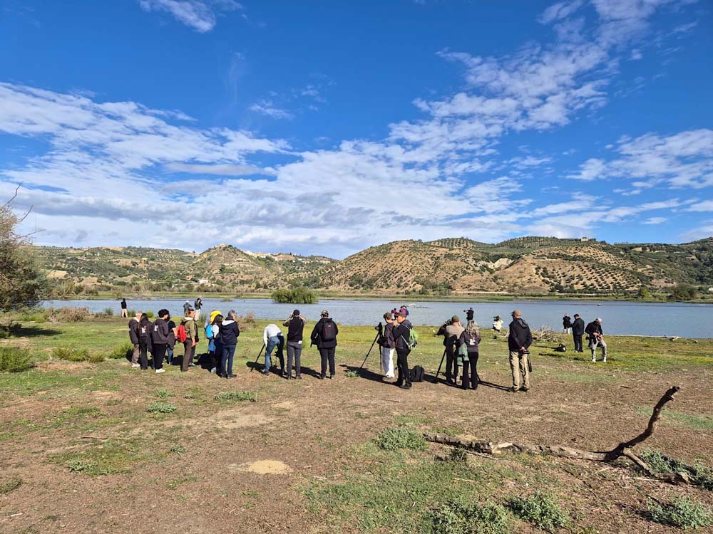 “EUROBIRDWATCH 2026” a protezione dell’avifauna migratoria, nei giorni di San Francesco d’Assisi
