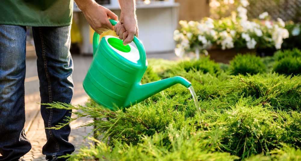 Lattarico, nasce il progetto “Horti della Contessa”: la firma di AIPD Cosenza sull’inclusione