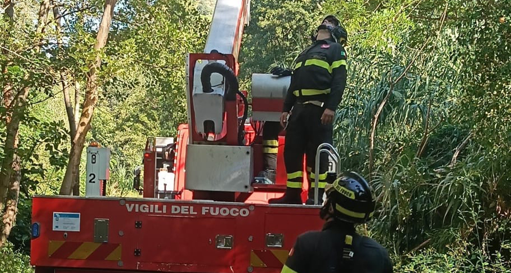 Recuperato un parapendista rimasto incastrato sulla cima di un albero a Fiumefreddo Bruzio