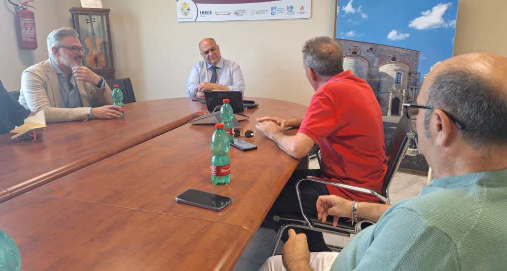 Vertenze ex LSU/LPU e TIS in Calabria: UGL Autonomie a confronto con l’assessore Calabrese