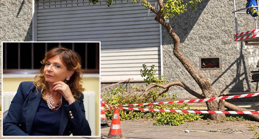 Corigliano-Rossano, Fratelli d’Italia contro il Sindaco: “Predica l’ambiente ma sceglie il cemento”