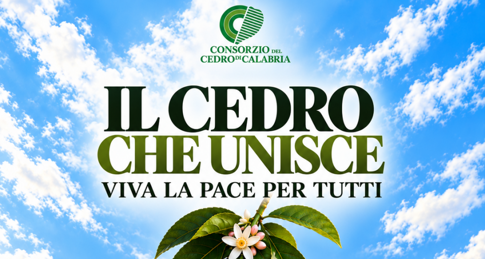Santa Maria del Cedro, al via la Festa della Raccolta 2026: giovedì 15 ottobre un grande flash mob per la pace al Castello