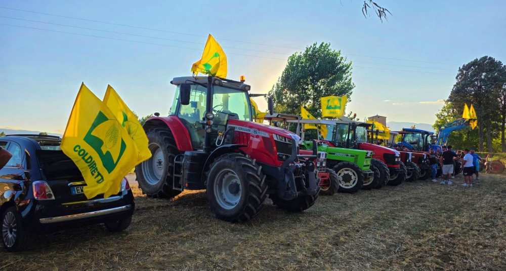 Caro gasolio, il Governo stanzia 60 milioni per i campi: Coldiretti promuove i nuovi aiuti all’agricoltura